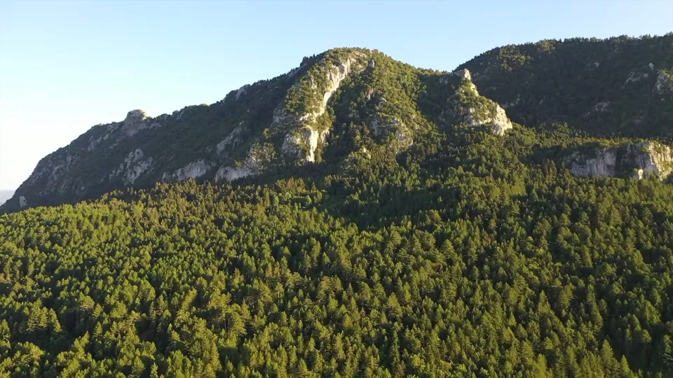 Ο Όρλιακας με τους απόκρημνους βράχους της κορυφής πάνω από το πυκνό δάσος